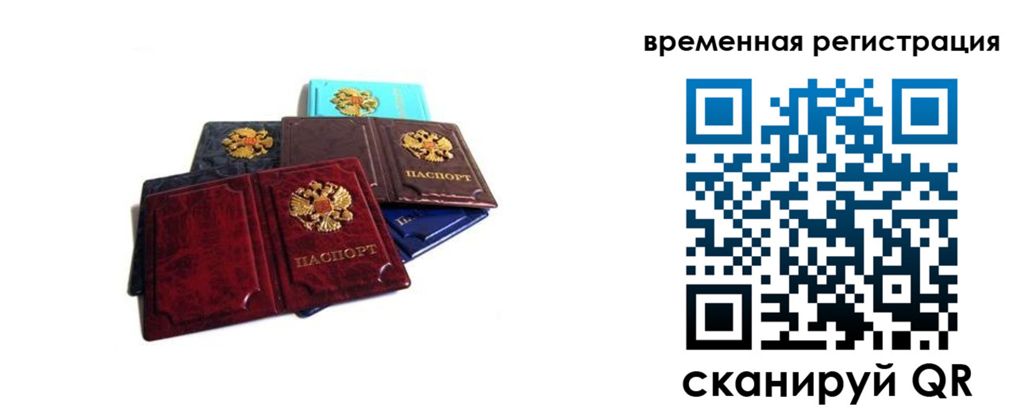 прописка гарантия в Голицыно